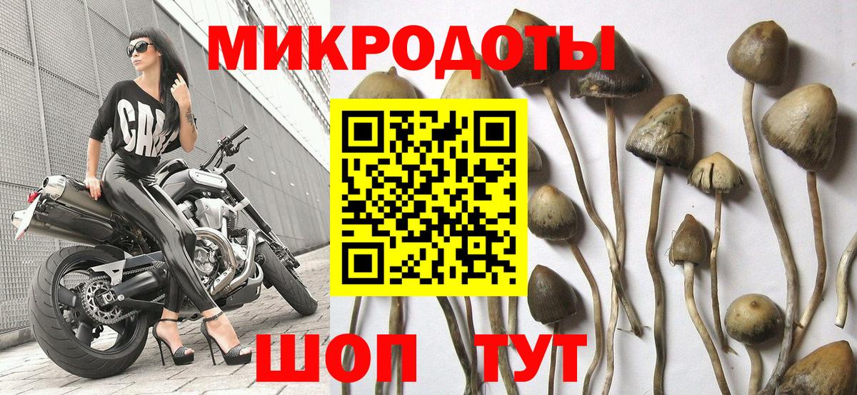 Галлюциногенные грибы мицелий  Вход с VPN  Берёзовский 
