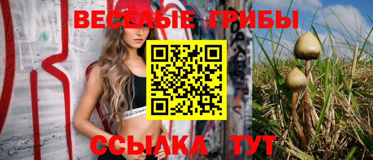 Галлюциногенные грибы Cubensis  Галлюциногенные грибы Magic Shrooms  Берёзовский 